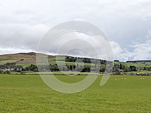 Rural Scotland - green fields and agriculture landscape in spring