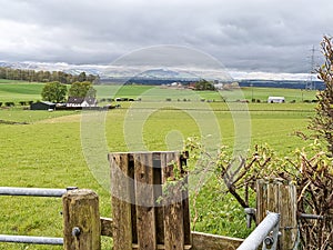 Rural Scotland - green fields and agriculture landscape in spring