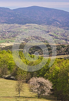 Rural settlement in Ostrozky mountains in Slovakia during spring