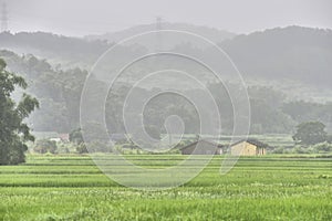 Rural silence. photo