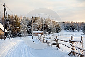 Rural snowy covered road with wooden fence along is in Russian village in winter season. Russia