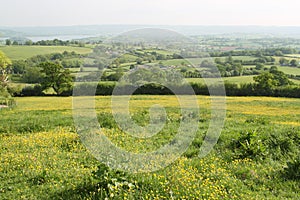 Rural Somerset photo