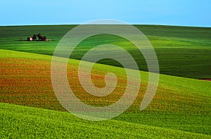 Rural spring landscape