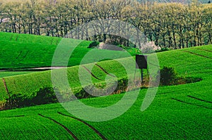 Rural spring landscape