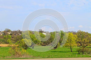 Rural spring landscape