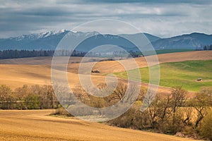 Rural spring landscape, agricultural fields with mountains on ba