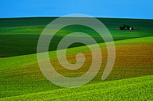 Rural spring landscape