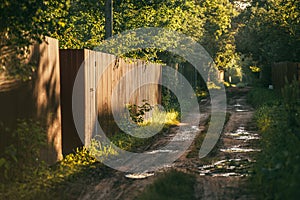 Rural spring landscape with a road going into the distance and a fence on the left side. Soft evening, sunlight floods