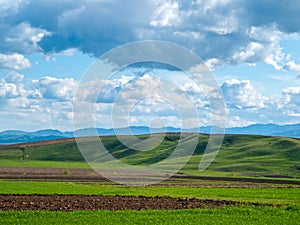 Rural spring scene, fresh green fields and hill