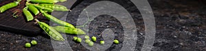 Rural still life, banner horizontal - view of the pea crop, selective focus, close-up on a dark background with space for text