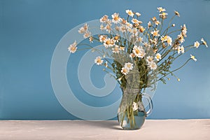 Rural still-life - bouquet of chamomile Matricaria recutita in a glass jug, blooming spring flowers photo