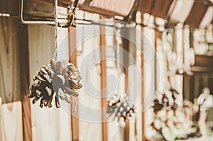 Rural Still Life of Cones. Exterior decor of the house.