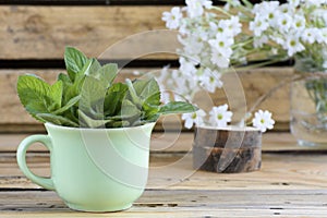 Rural still life with a green cup of melissa officinalis