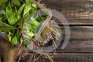 Rural still life with mangold salad on wooden table