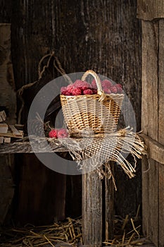 Rural still life with raspberries on rustic table