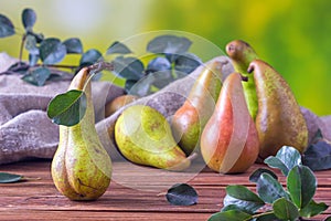 Rural still life - view of a Conference pear after harvest on a wooden table, group of pears closeup