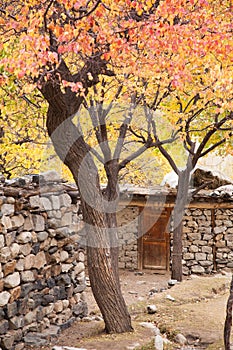 A rural stone house with colorful trees in autumn season