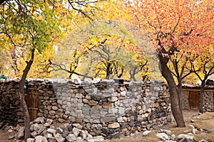 A rural stone house with colorful trees in autumn season