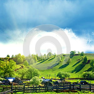 Rural summer landscape