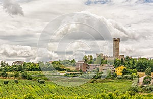 Rural summer landscape with vineyards and olive fields near Porto Recanati in the Marche region, Italy