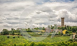 Rural summer landscape with vineyards and olive fields near Porto Recanati in the Marche region, Italy photo
