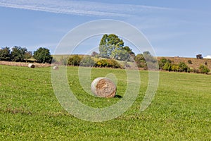 Rural pasture landscape with haystacks