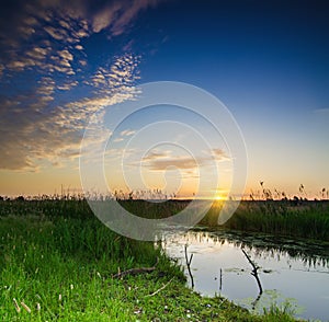 Rural summer sunrise