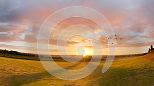 Rural sunset landscape panorama. Birds flying silhouette.