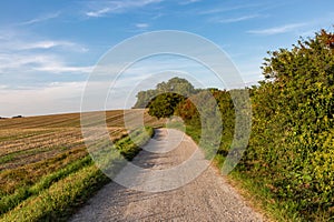 A pathway alongside farmland in the South Downs, on a sunny September evening