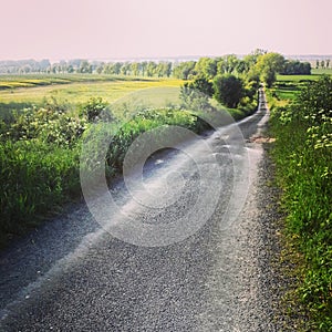 Rural tarmac road in Poland