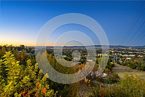 Rural town with power lines amid trees in Encino, CA