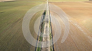 Rural Tranquility: Aerial View of a Country Road Between Winter Fields