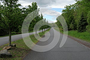 Rural Tree Lined Road With Separated Lanes