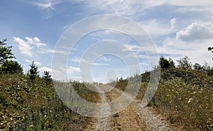 Rural uphill dirtroad