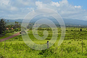 Rural Upland Molokai Vista