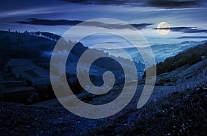 Rural valley with forested hills at night