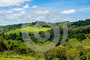 Rural view of Australia cattle and farming on hill