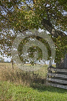 A rural view of farm fencing , tree and pasture