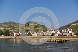 Rural view on Rhine river