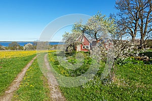 Rural view in the spring at a farm