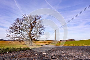 Rural view of a tree a road a power pole and a wind turbine in the background
