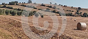 rural view typical Tuscan landscape. fields and green hillside agriculture in Grosseto in Tuscany in Italy