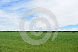 Rural village field green lush grass sky clouds