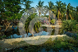 Rural Village landscape,Sundarban, West Bengal, India