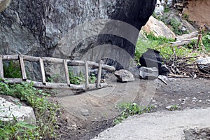 Rural village scene