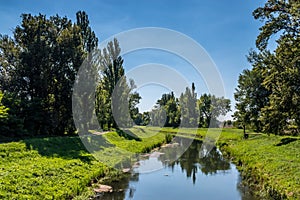 Rural water canal in forest