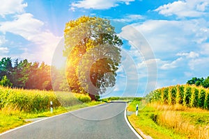 Rural winding road in sunset