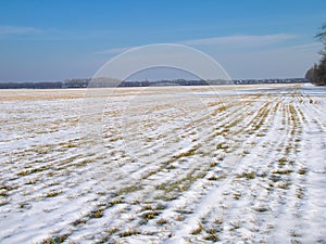 Rural winter landscape.