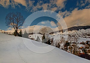 Rural Winter landscape