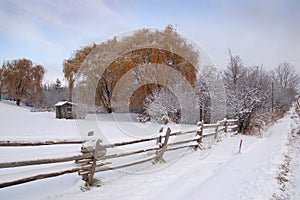 Rural winter landscape